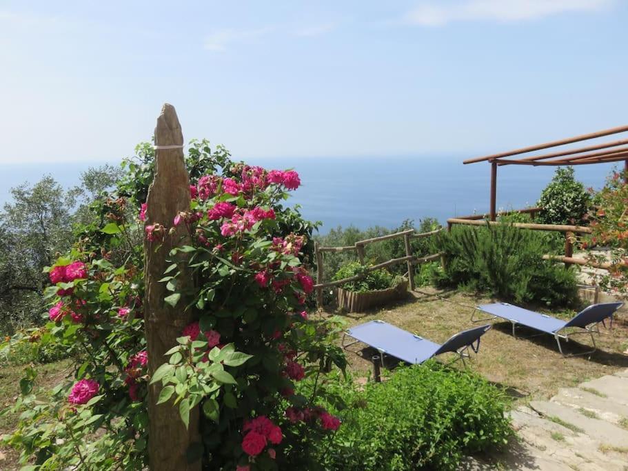Apartamento Amazing Flat At The Heart Of 5 Terre National Park Vernazza Exterior foto