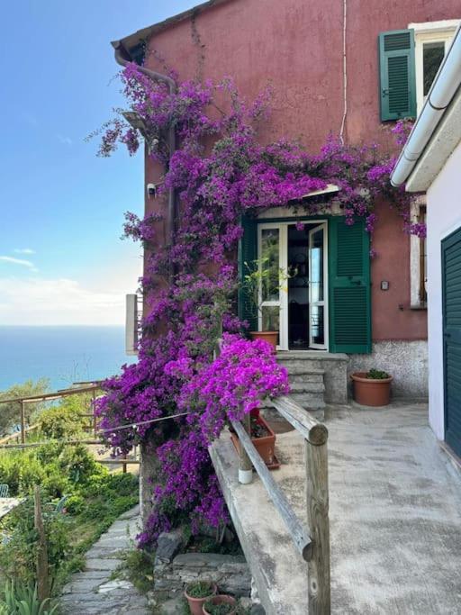 Apartamento Amazing Flat At The Heart Of 5 Terre National Park Vernazza Exterior foto